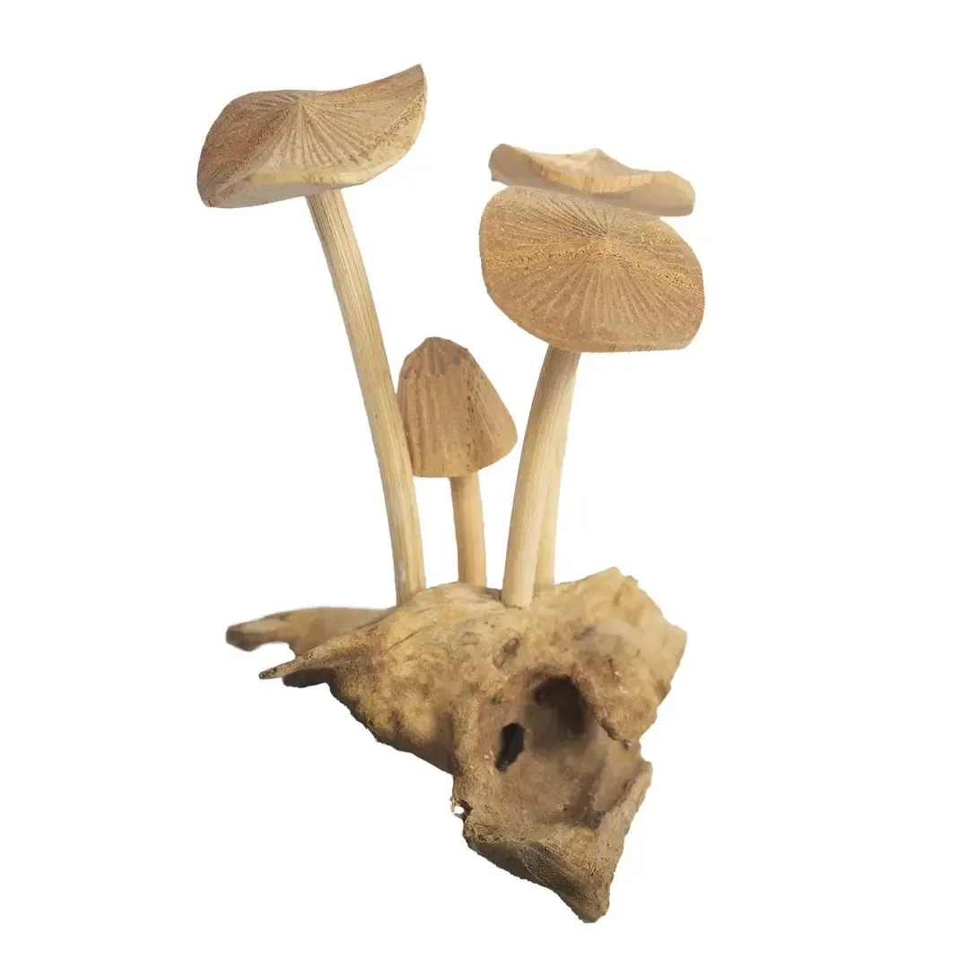 Mushroom Micro Garden Tabletop