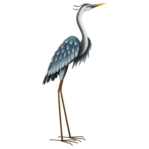 Blue Heron Head Up