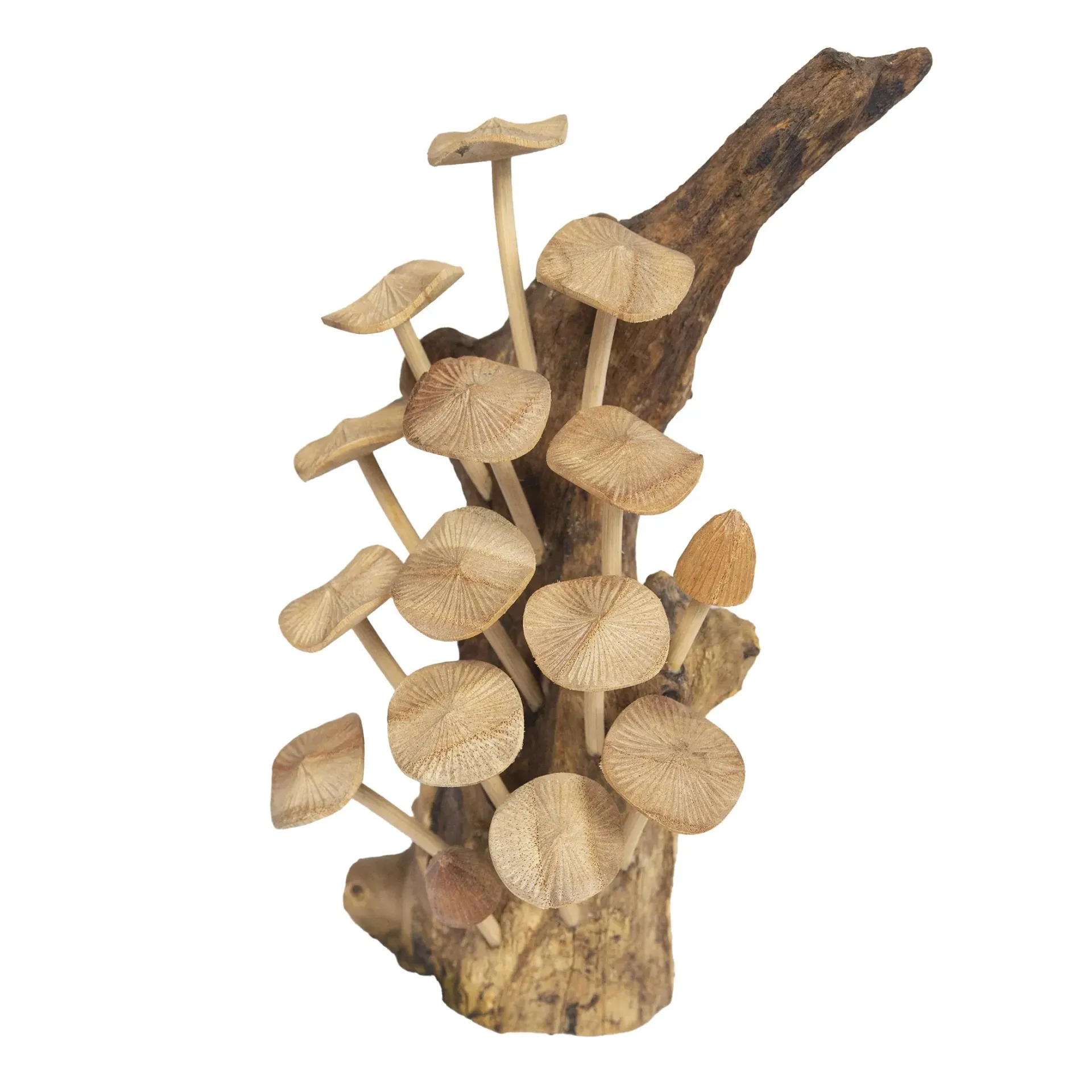 Mushroom Garden Tabletop