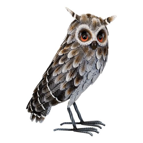 Grey Horned Owl - Standing