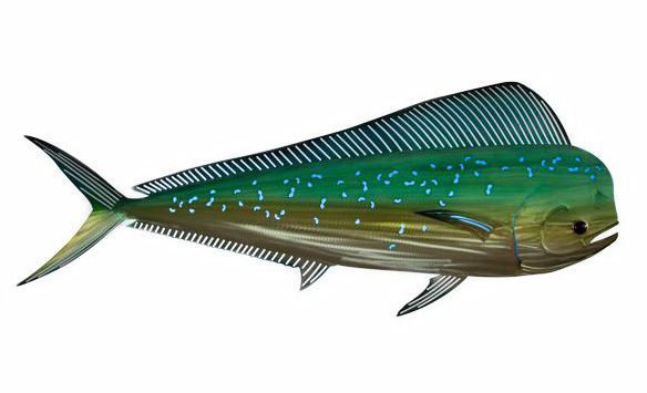 Mahi-mahi Led Lit Stainless Steel Metal Wall Art