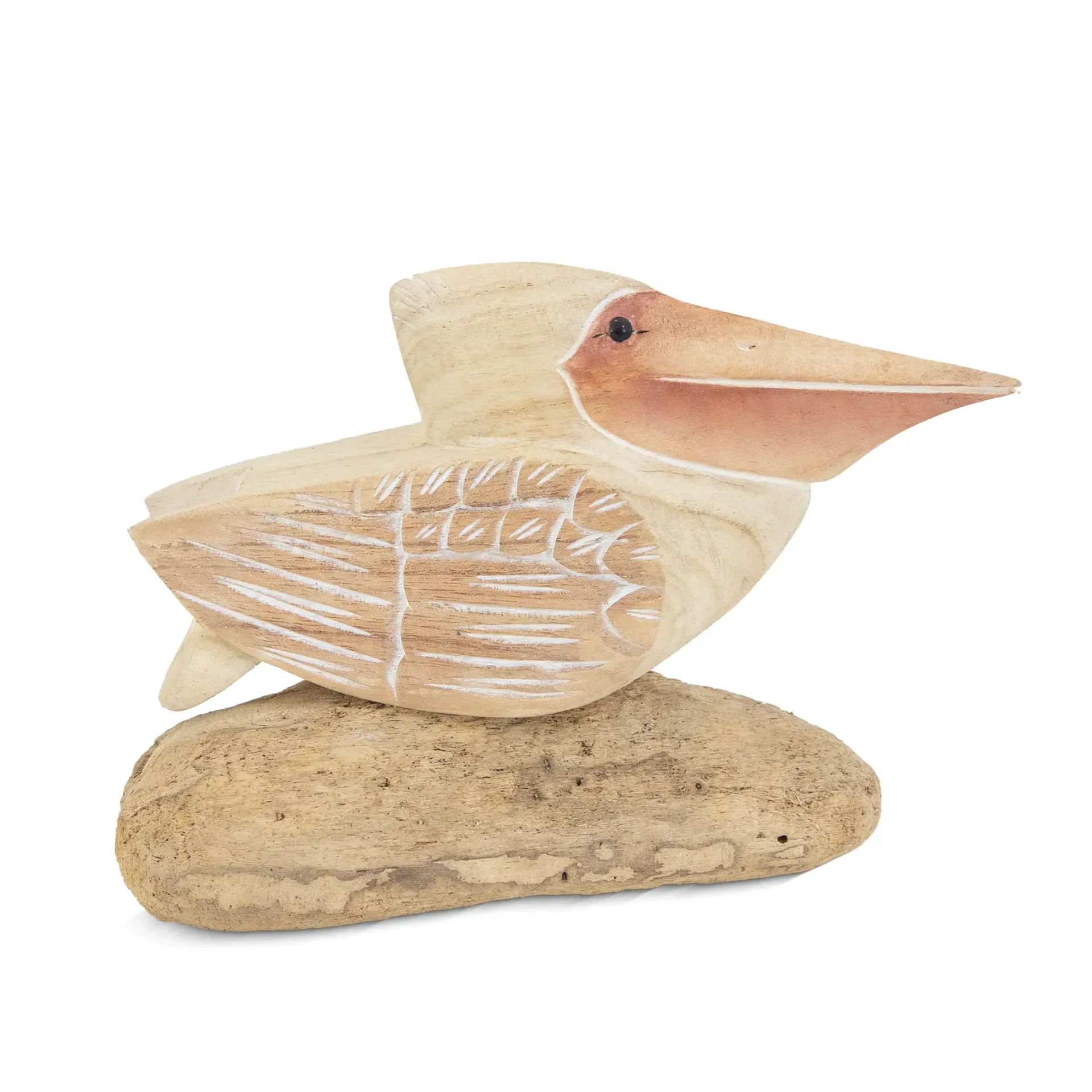 Pelican Squatting on Driftwood Tabletop