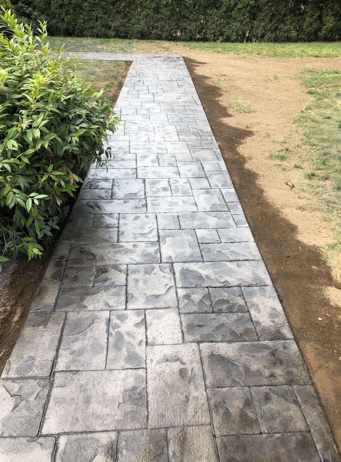 Paved stone walkway bordered by grass and shrubs in a garden area