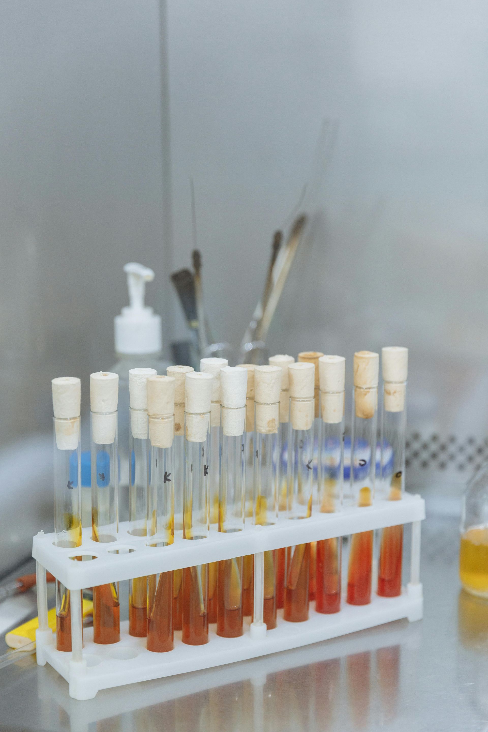 Rack of test tubes with colored liquid in a laboratory tray