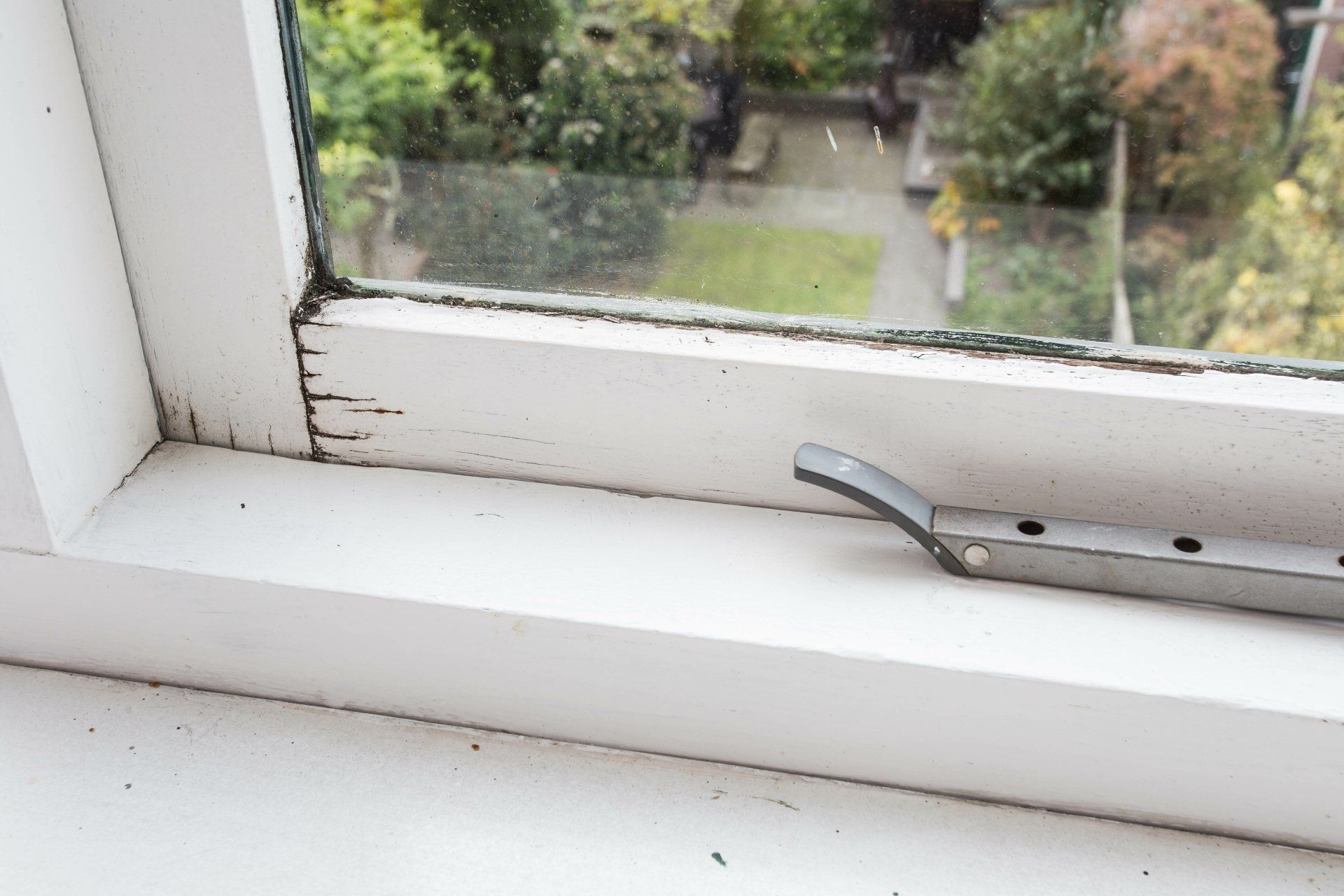 window replacements