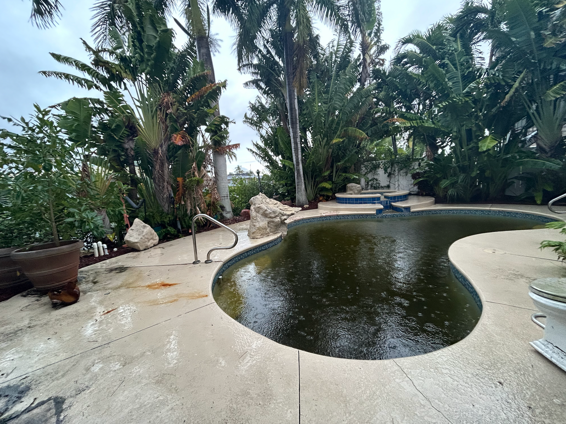 A dirty swimming pool surrounded by a concrete patio and lush green foliage. Cloudy sky.
