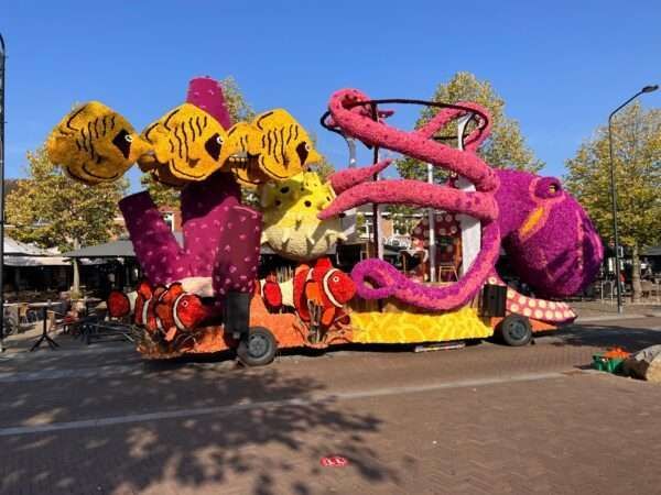 Een paarse octopusvlotter ligt aan de kant van de weg