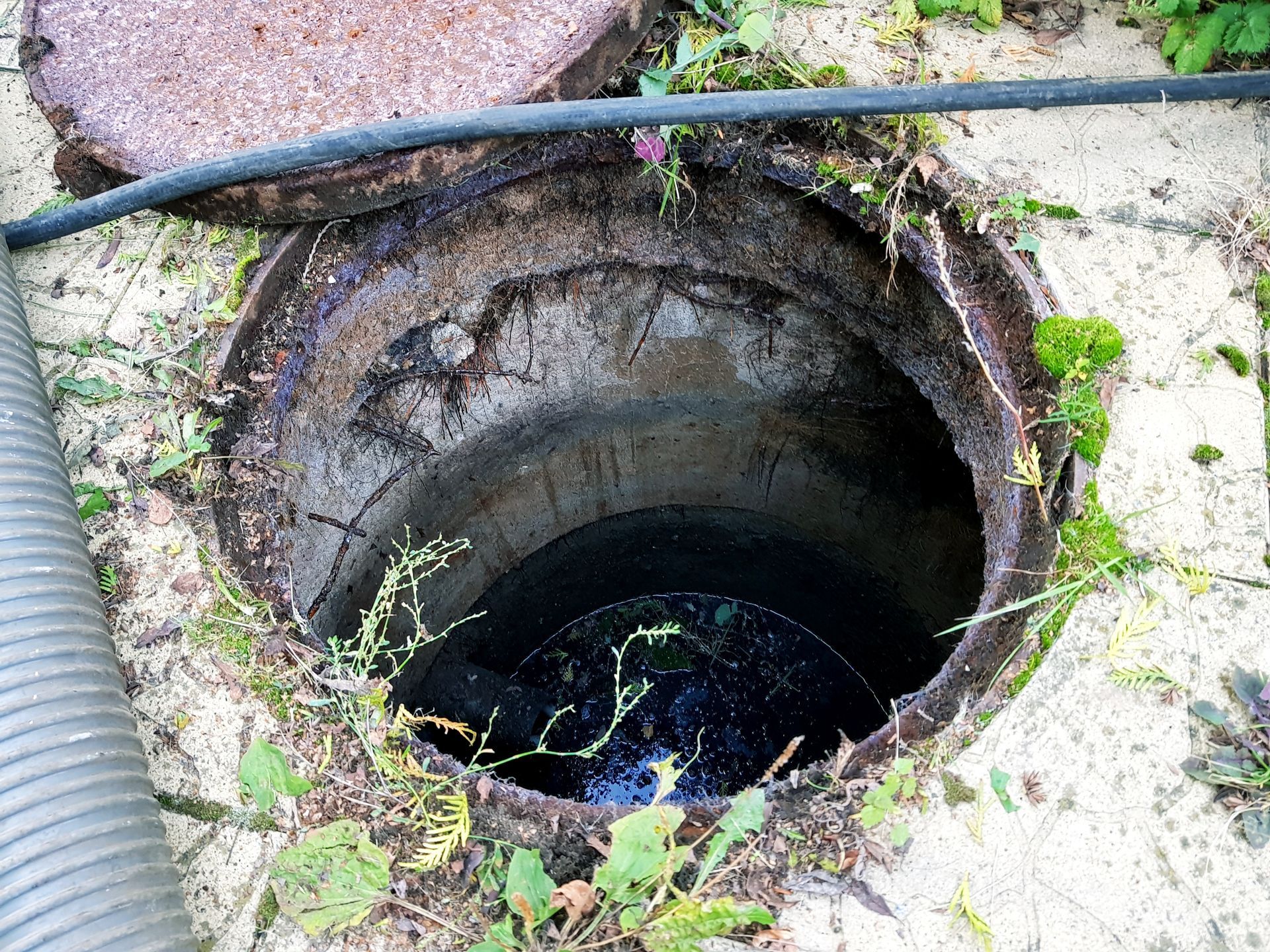 Open manhole or utility hole with dark water and overgrown grass around the rim