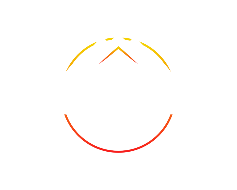 Beminio Pro Services
