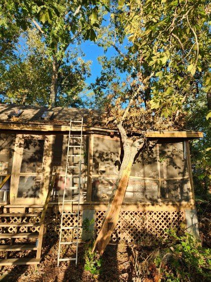 Tree damage on a cabin roof. A fallen tree trunk rests on the roof near a ladder and a screened porch.