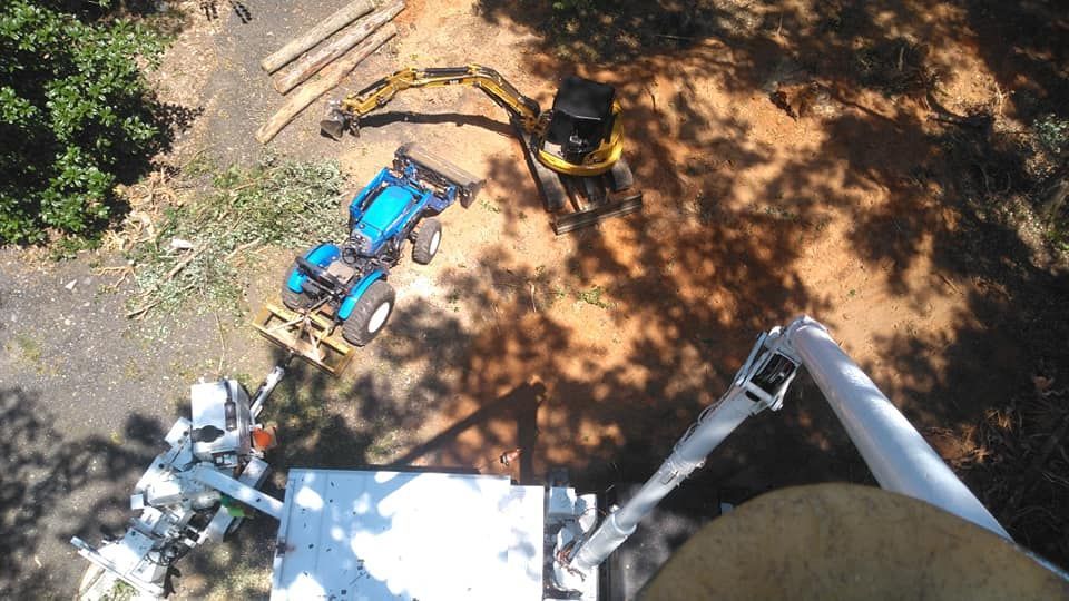 tree limbs being removed from residential property Overhead view of a tractor and excavator on a construction site; trees and wood logs are visible.