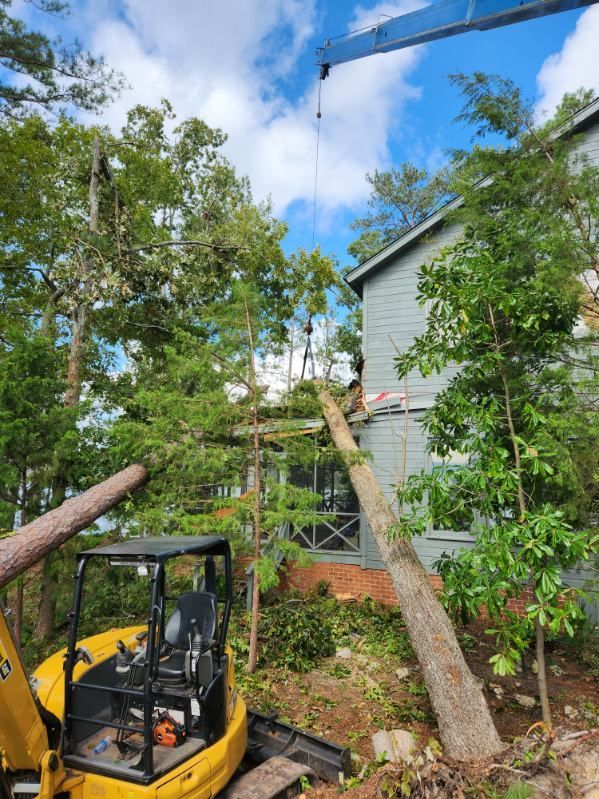 Crane removing a tree next to a gray house; yellow excavator in foreground.
