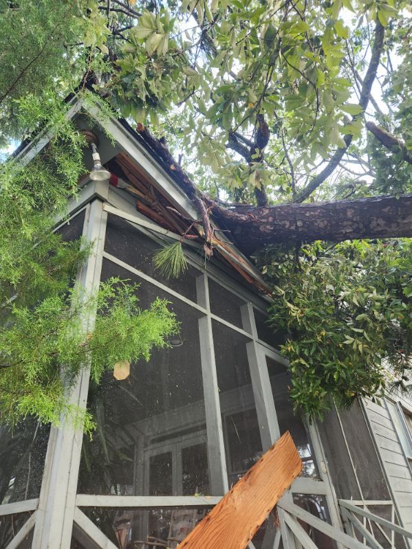 A tree branch fallen on the roof of a screened porch, causing structural damage.