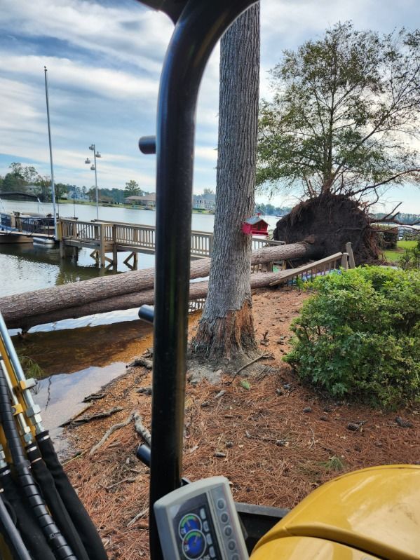 Fallen tree near a dock. A yellow excavator is visible. Blue water and cloudy sky.