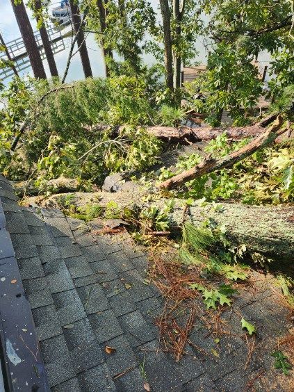 Fallen tree branches on a gray shingled roof near a body of water and trees.