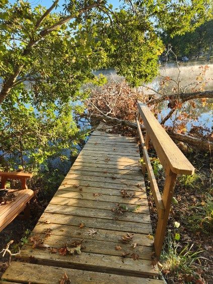 Wooden dock with a handrail leading to a body of water, surrounded by trees and foliage.