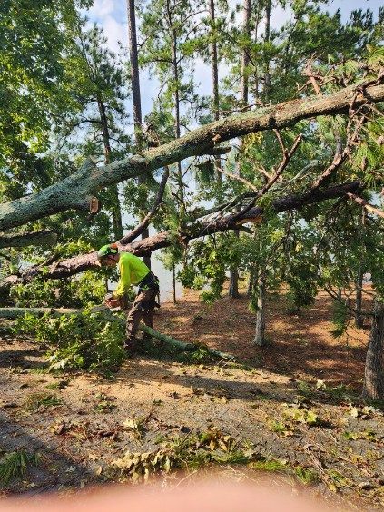 Arborist cutting fallen tree branches in a wooded area. They wear safety gear and use a chainsaw.