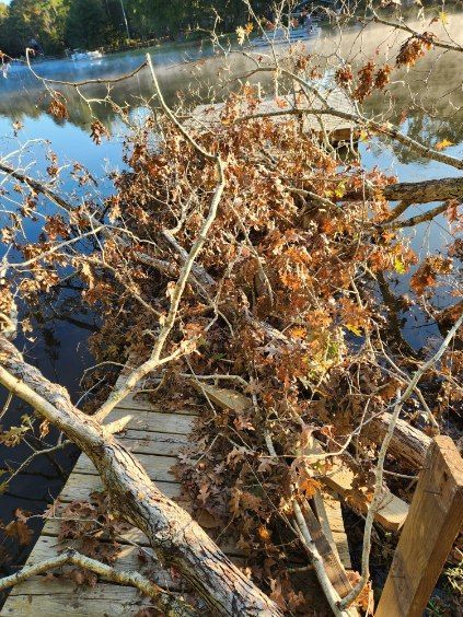 Branches with brown leaves cover a wooden dock near a body of water.