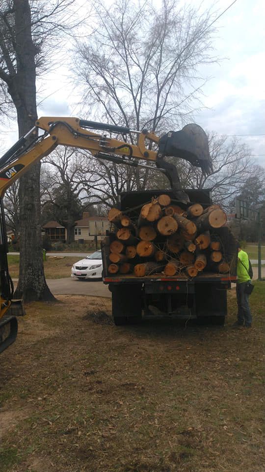 A yellow excavator loading logs into a truck bed, a worker in a green vest stands nearby.