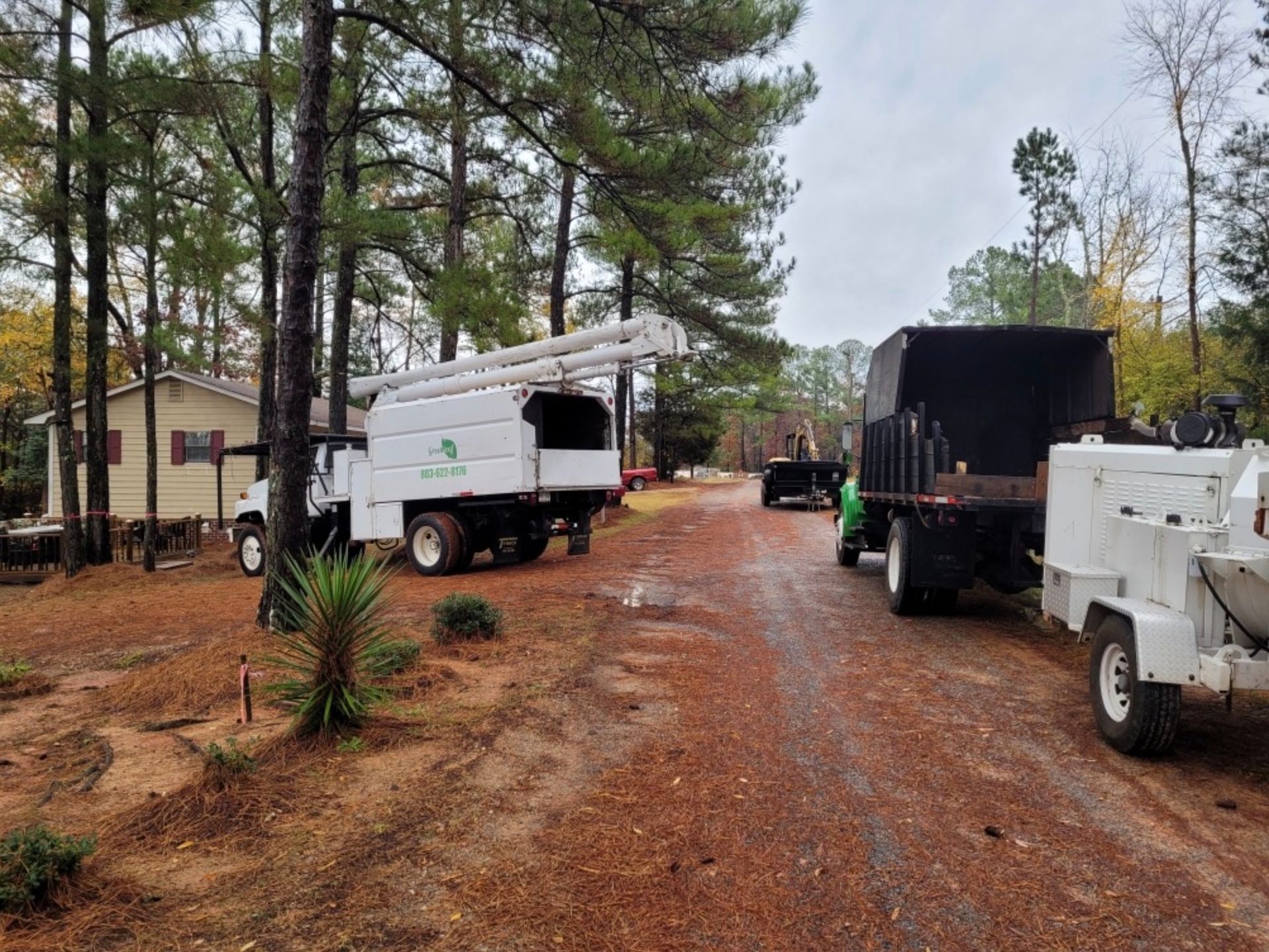 removing fallen trees from storms Tree service trucks parked on a dirt driveway next to a house, with a chipper and a raised platform.