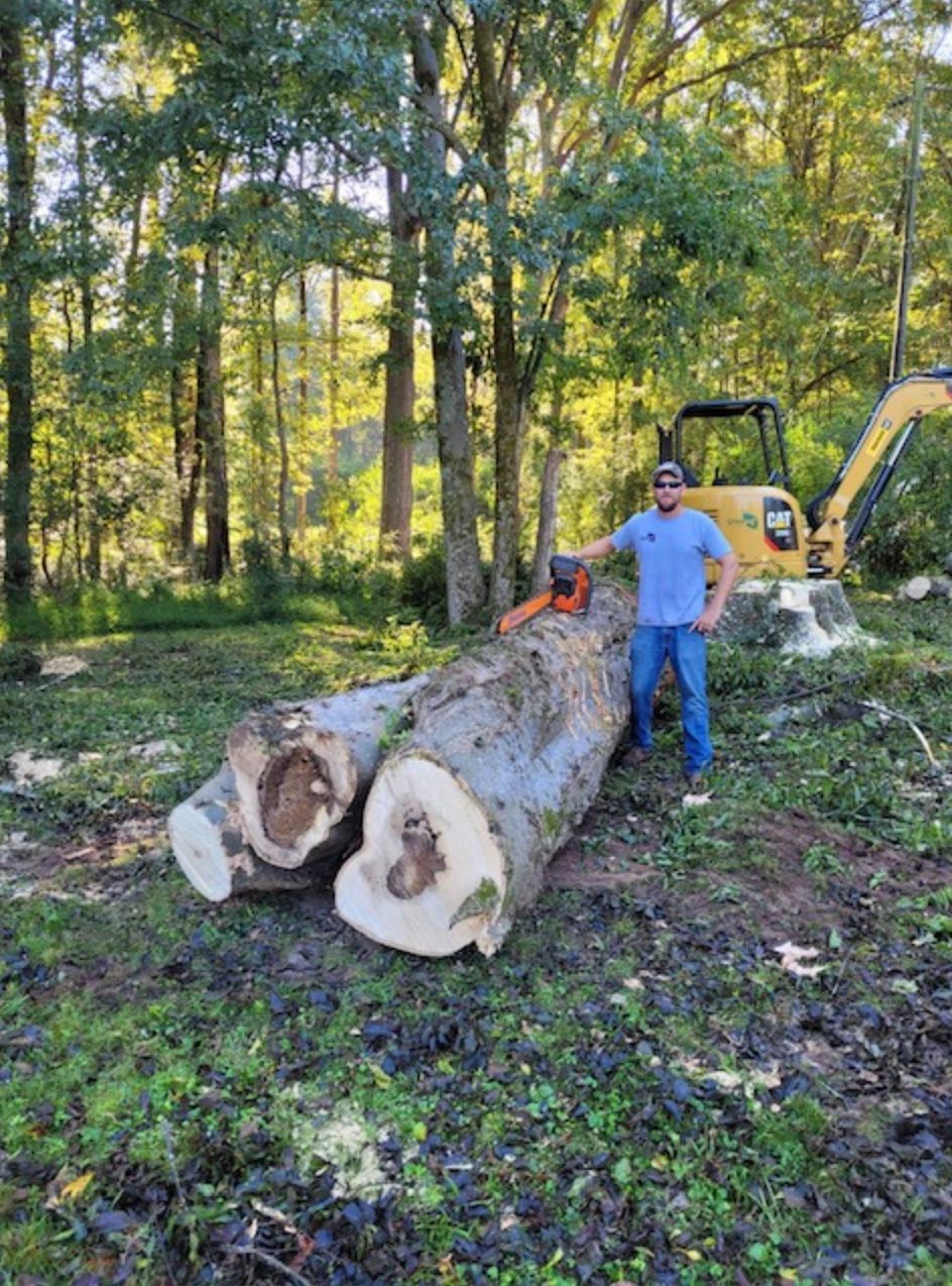 tree services in Chapin, South Carolina Man standing next to large cut tree logs, chainsaw, and small excavator in a wooded area.