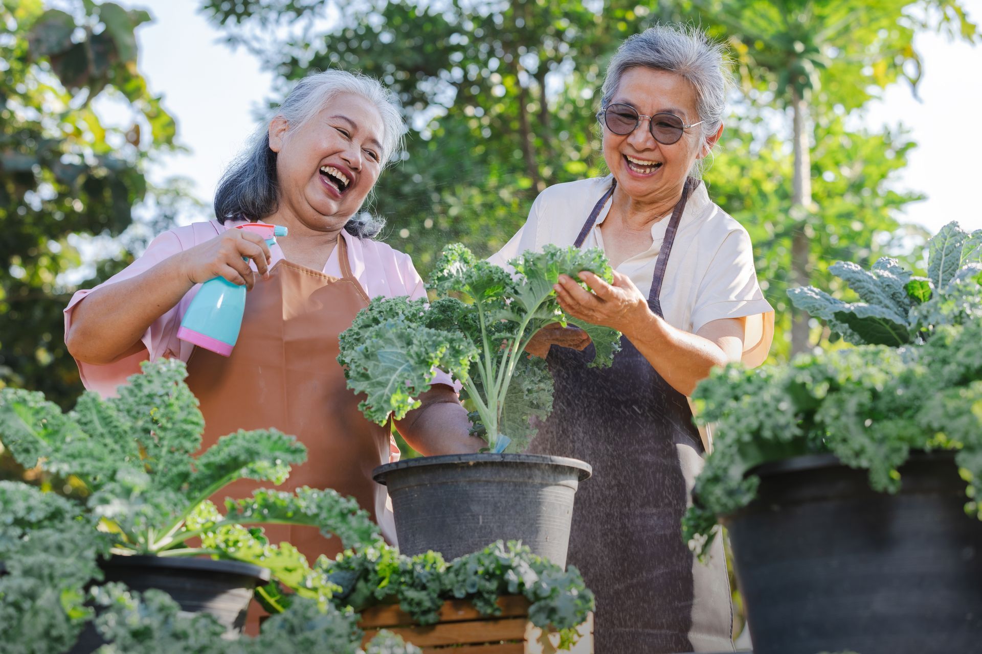 Two people smiling while gardening together, one spraying a plant in a pot with a water bottle.