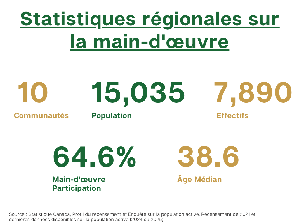 Infographic showing Regional Workforce Statistics: 10 communities, 15,035 population, 7,890 workforce, 64.6% participation.