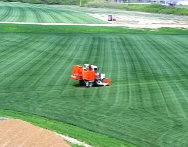Orange field sprayer treating a green crop field on a farm