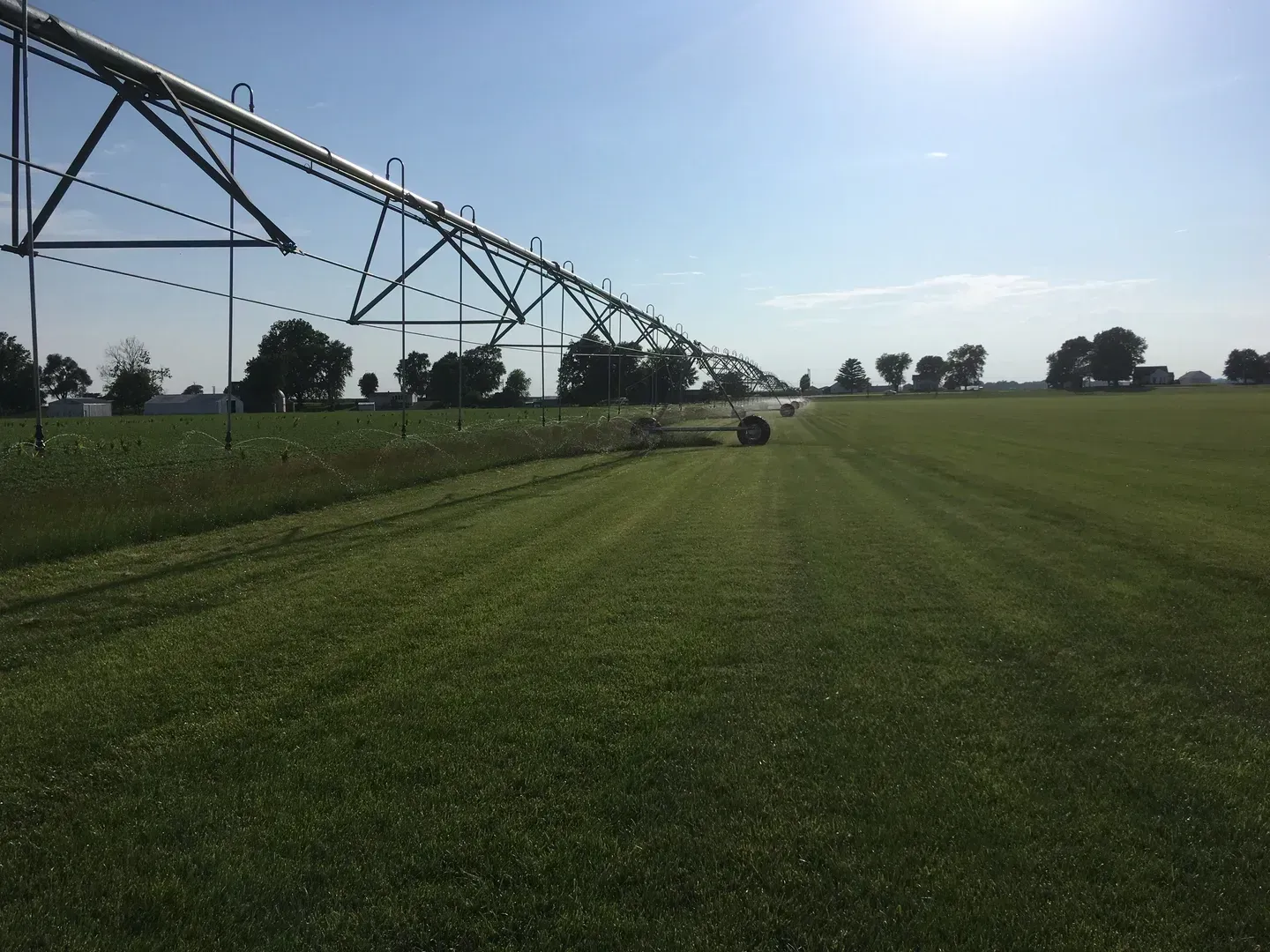 Irrigated green crop field with a center pivot sprinkler under a bright blue sky