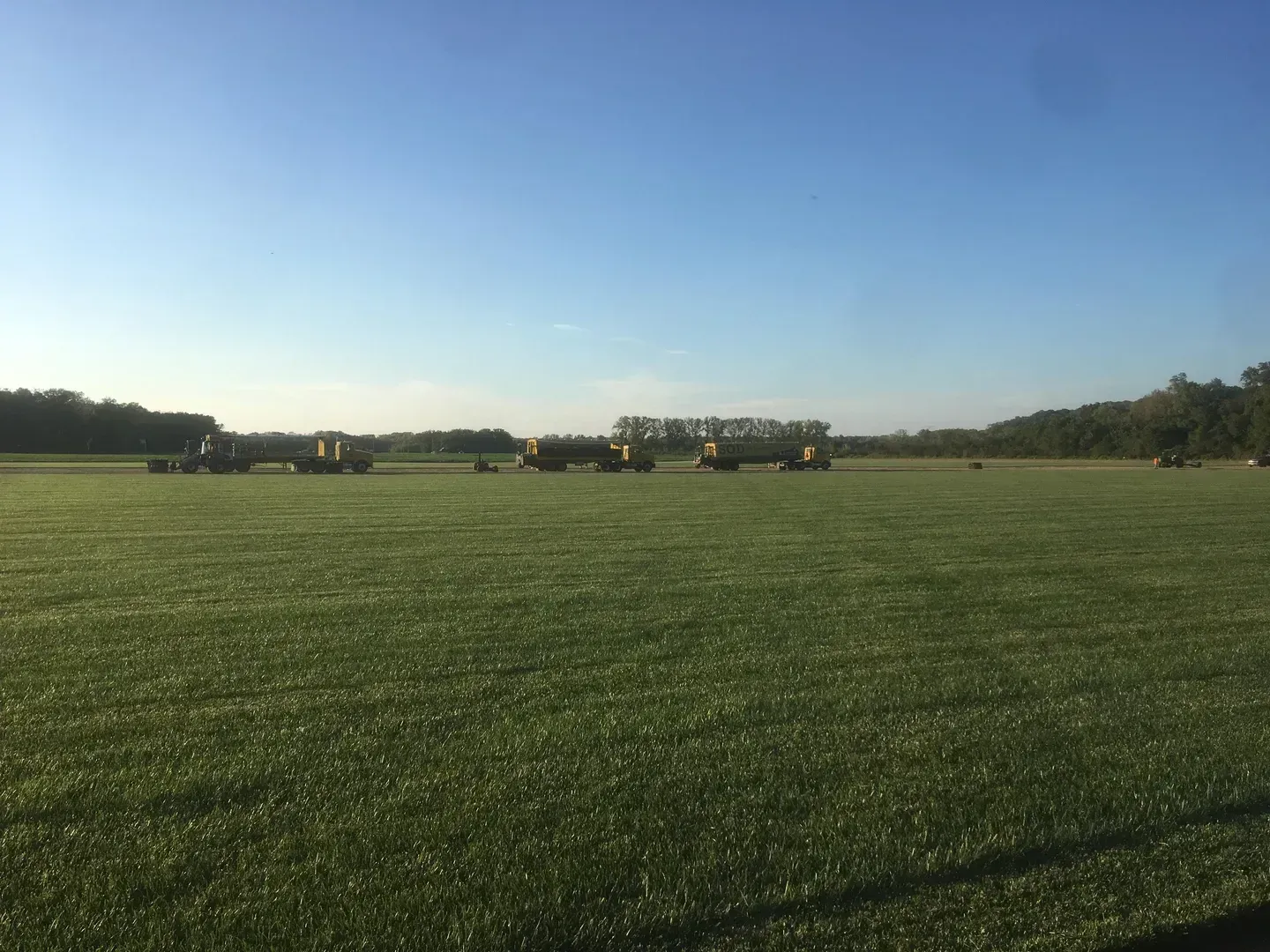 Wide grassy field under a clear blue sky, with distant people and trees along the horizon.