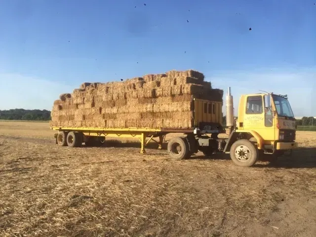 Yellow truck loaded with hay bales in a dry field under a clear blue sky
