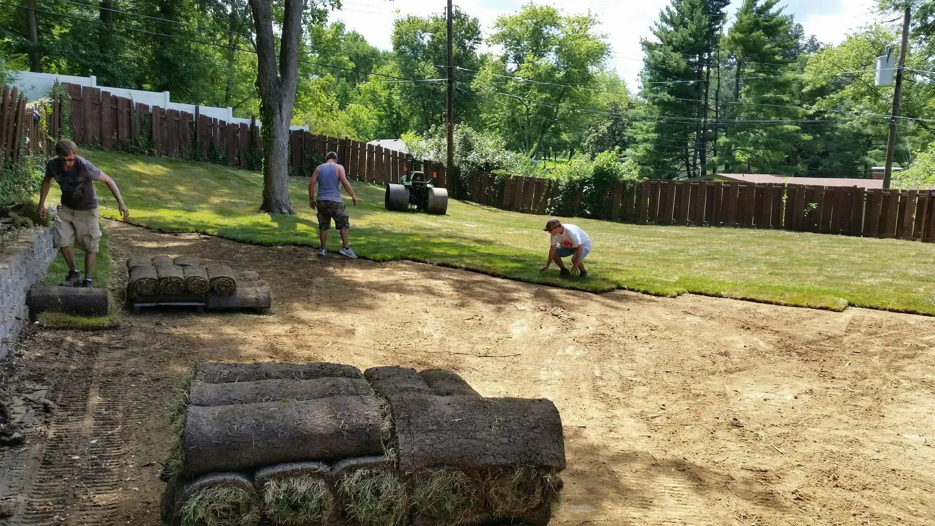 Workers laying sod in a sunny backyard with trees and a wooden fence.