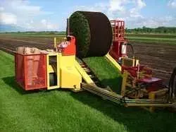 Large farm machine loading green crop into a trailer in a field