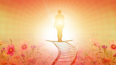 Silhouetted person standing on a curved glowing path in a bright, pink floral landscape