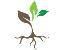 True Roots Catering