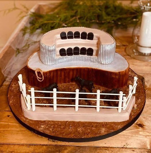 Wooden cake shaped like a round building with white fence and arched silver roof on a table