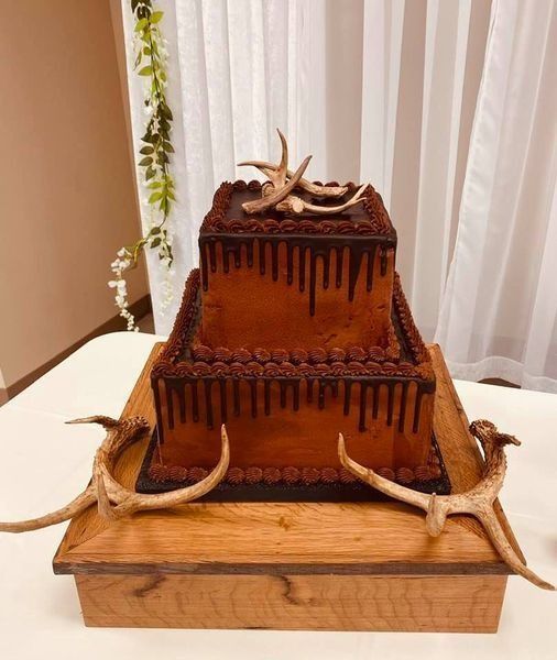 Tiered chocolate cake with antlers on a wooden base, displayed indoors against white curtains.