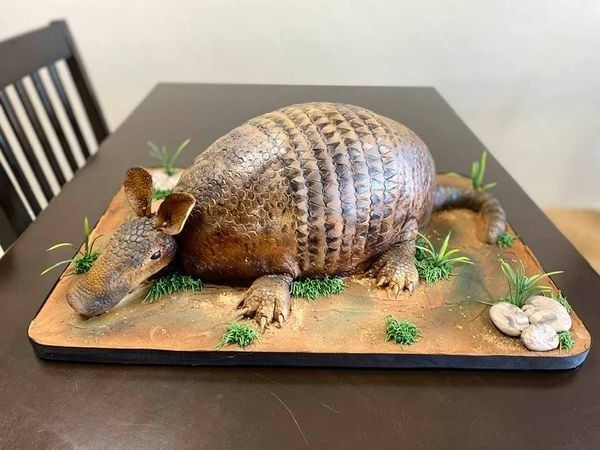 Armored animal figurine cake on a wooden board, with green grass accents and a small bone detail