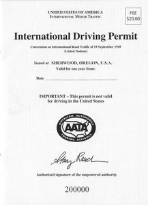International Driving Permit Example