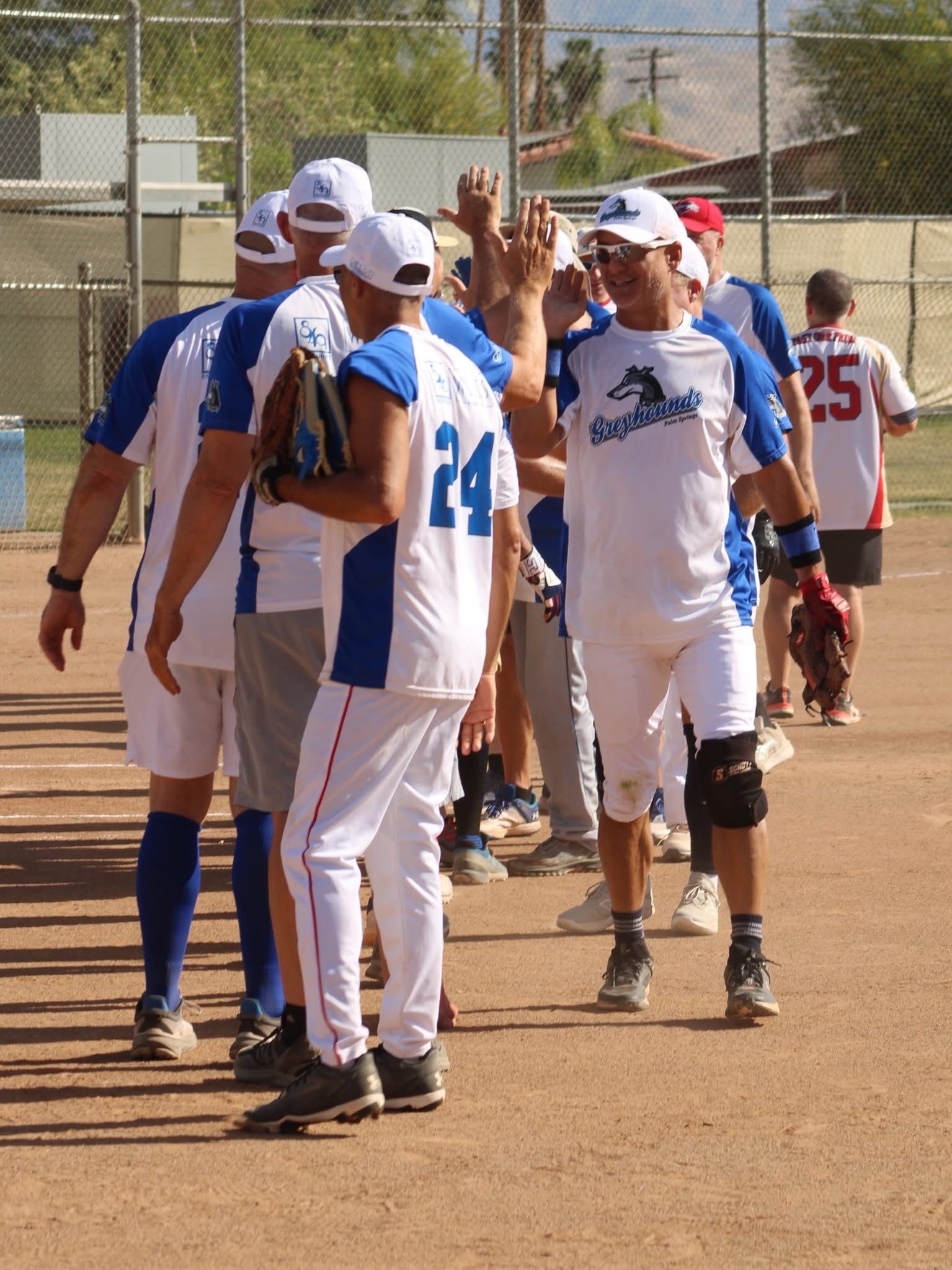 Softball players in white and blue uniforms high-five on a dirt field near a chain-link fence.