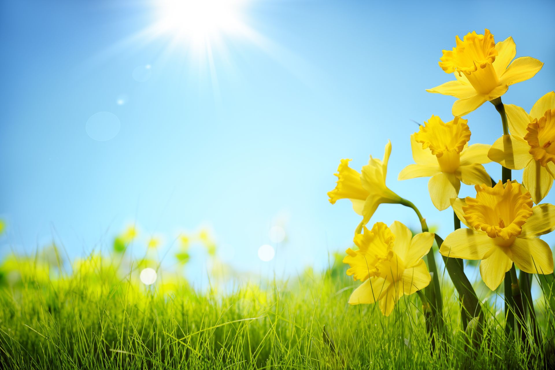 Spring is nearly ready to spring here is how to hire your window cleaners. 