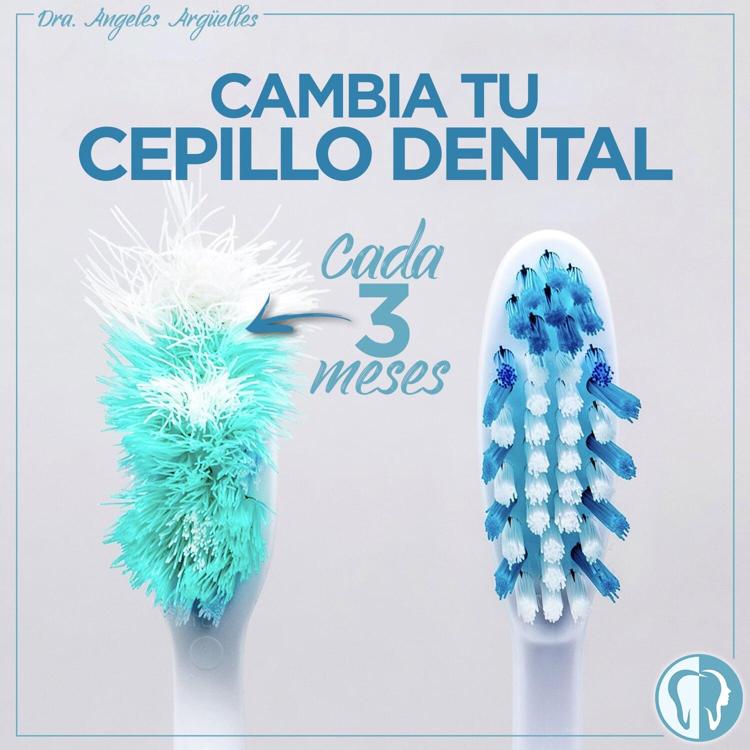 DRA. ÁNGELES ARGÜELLES MERCADO - cepillo dental