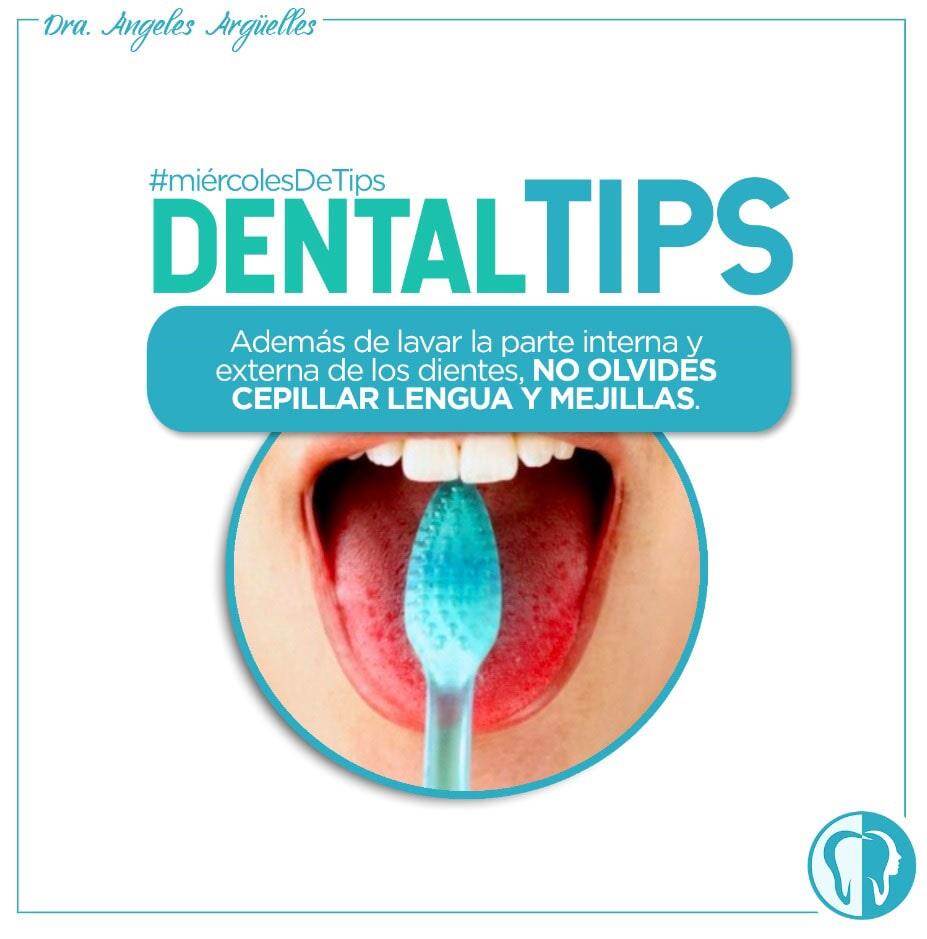 DRA. ÁNGELES ARGÜELLES MERCADO - Lengua y mejillas