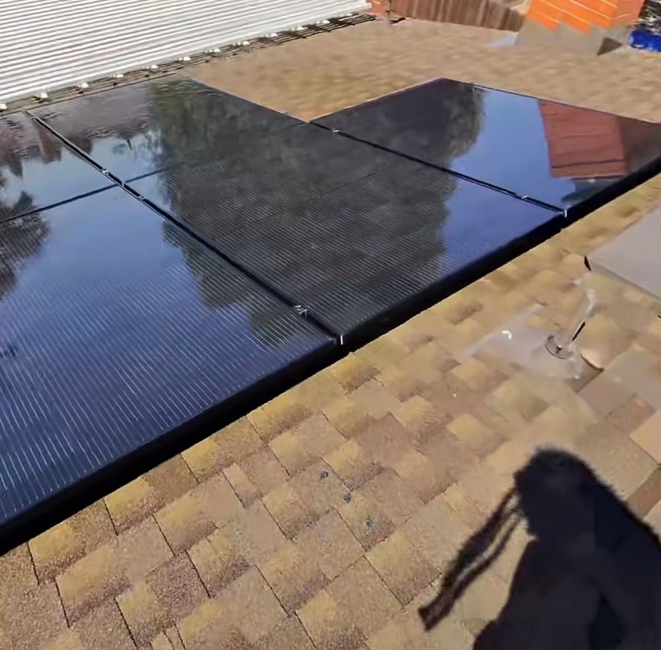 Freshly washed solar panels reflecting nearby trees beside a tile roof.