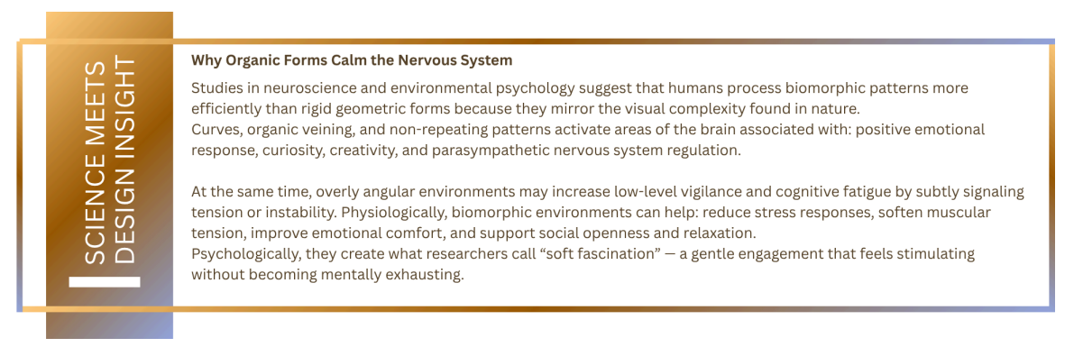 Why Organic Forms Calm the Nervous System