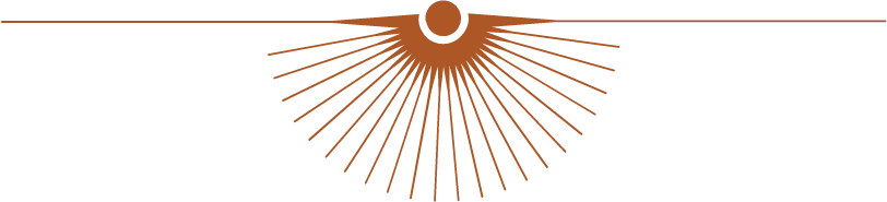 decorative line graphic