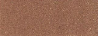 Copper Penny
