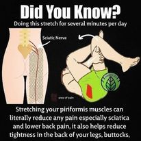 Let Fitness Pilates help Relieve Sciatica & Lower Back Pain, Reduce Tightness in your Back