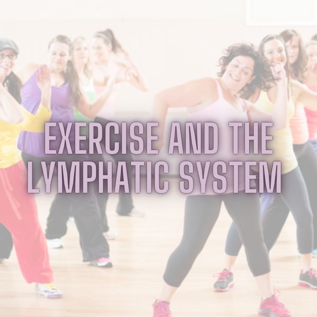 Click here to find out about AinyFit's Fitness PILATES classes, which could help your lymphatic system. Exercise and the Lymphatic System - how Pilates can help.