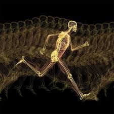 Click here to find out which class would suit you best to keep your bones in tip-top condition! Your bones are ALIVE! Here are a few facts about bones that you probably didn't know before - and some you did ...